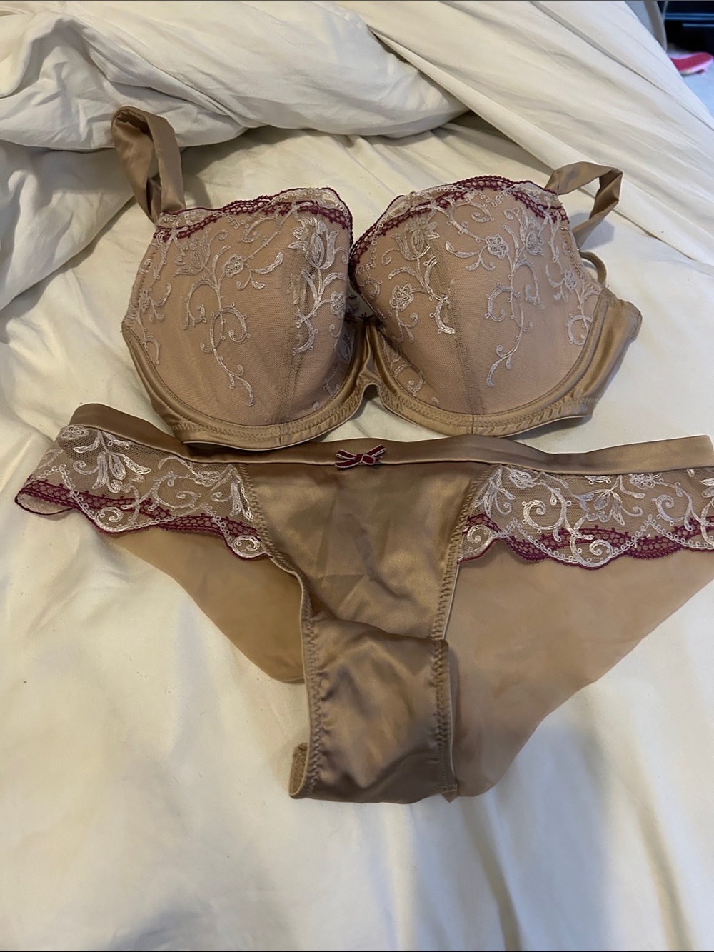 Beige Satin Embroidered Underwire Bra & Bikini Set with Rose Trim